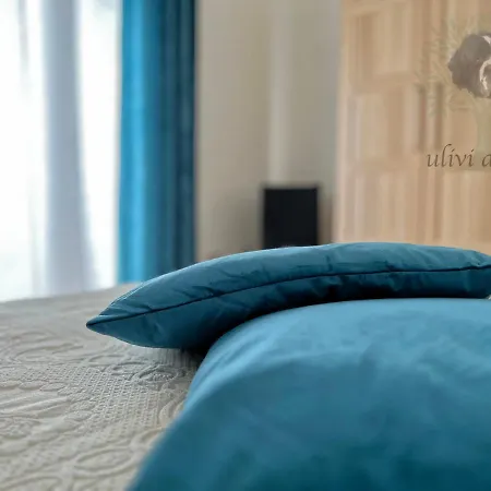 Gospodarstwo wiejskie Ulivi Di Cleo *