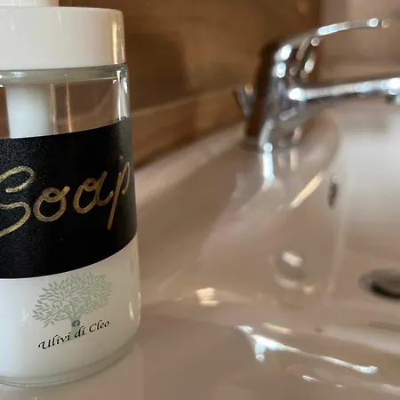 Ulivi Di Cleo * Realmonte