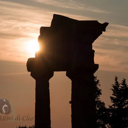 Gospodarstwo wiejskie Ulivi Di Cleo