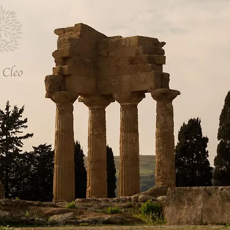 Ulivi Di Cleo Realmonte