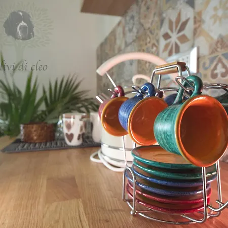 Ulivi Di Cleo Casa rural *