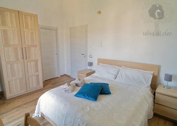 Ulivi Di Cleo Realmonte