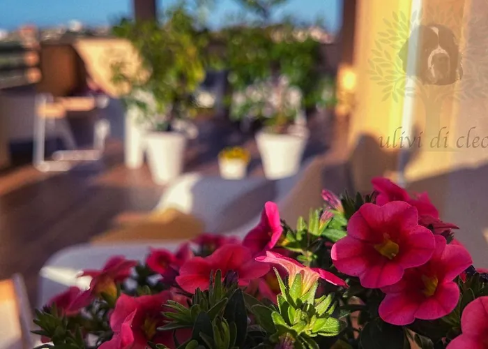 Ulivi Di Cleo Realmonte