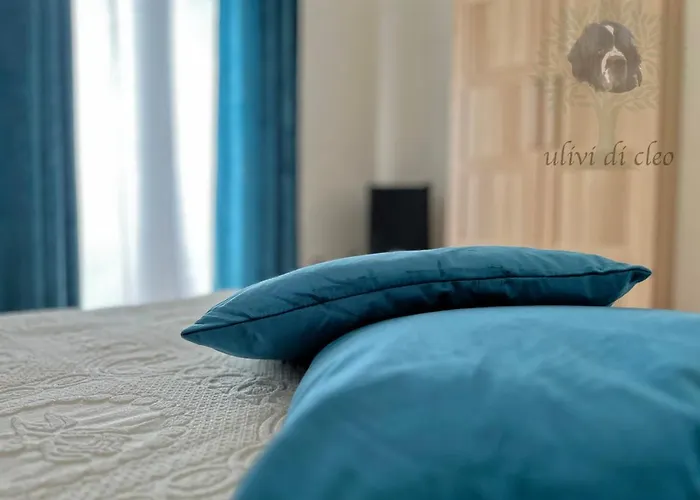 Country house Ulivi Di Cleo *