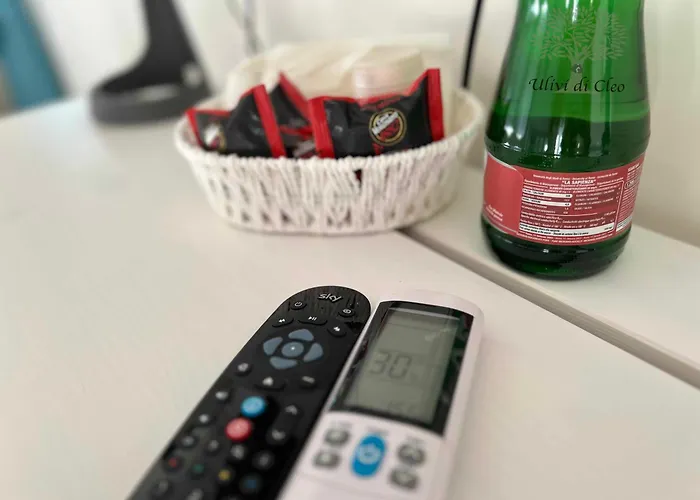 Ulivi Di Cleo * Realmonte