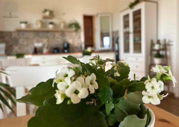 Country house Ulivi Di Cleo *
