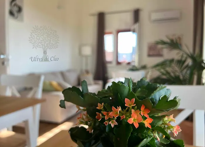 Ulivi Di Cleo