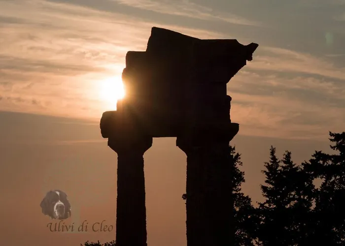 Country house Ulivi Di Cleo