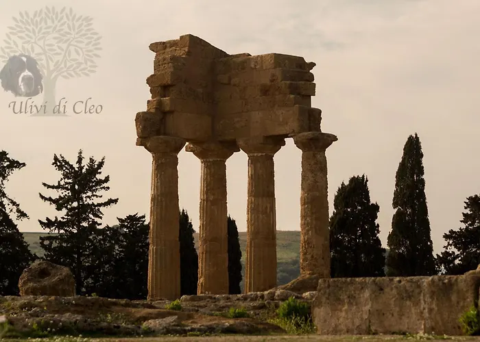 Ulivi Di Cleo Realmonte