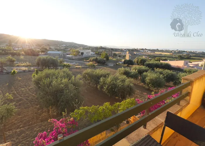 Ulivi Di Cleo